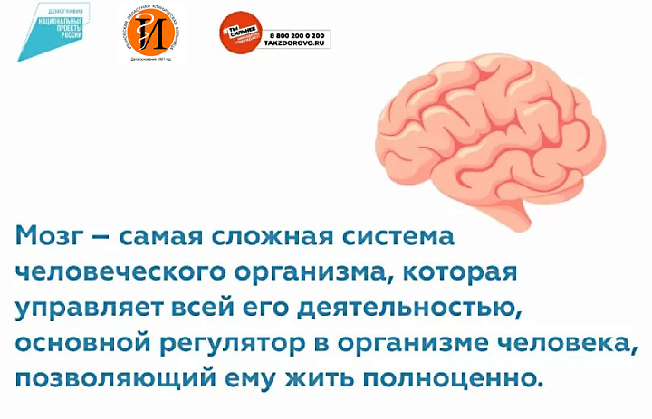 С 17 по 23 июля отмечается Неделя сохранения здоровья головного мозга 